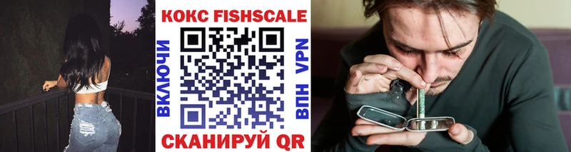Кокаин FishScale  купить наркотик  Конаково 