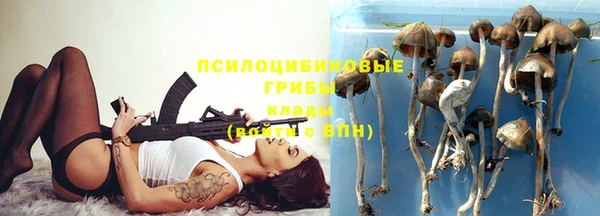 молекула духа Алексеевка