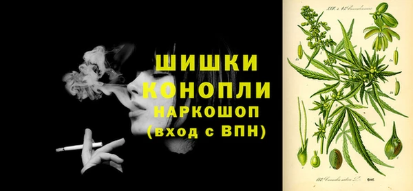 молекула духа Алзамай
