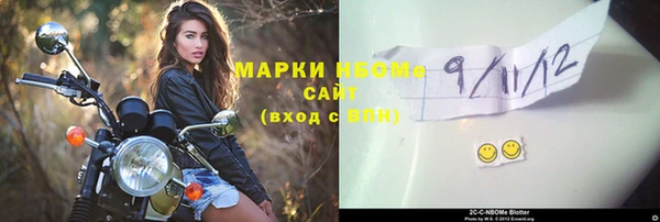 индика Абинск