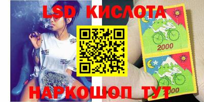 шишки Кимры