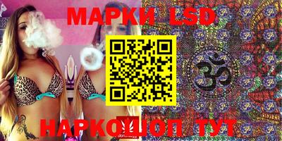 шишки Кимры