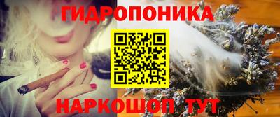 шишки Кимры