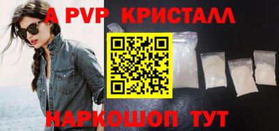 спиды Кингисепп