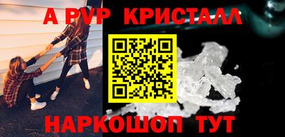 спиды Кингисепп